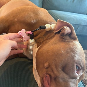 Senele added a photo of their purchase