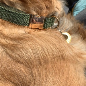 Cadence added a photo of their purchase