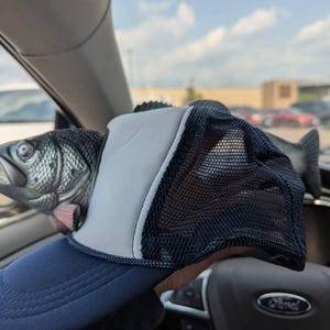 Madison added a photo of their purchase