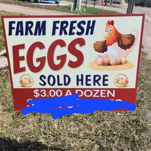 Teresa added a photo of their purchase