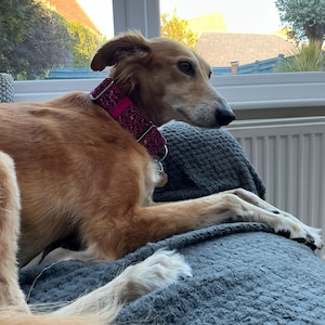 Sophie added a photo of their purchase