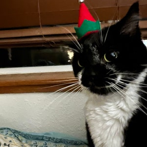 Elf Hat for Cats - Etsy