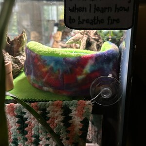 amy added a photo of their purchase