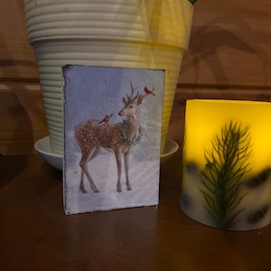 Cathy added a photo of their purchase