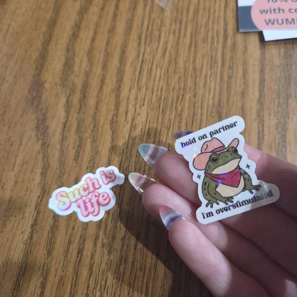 Hold on Partner I'm Overstimulated Sticker Cowboy Frog Sticker – Funny ...
