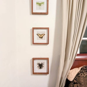 Jolie added a photo of their purchase