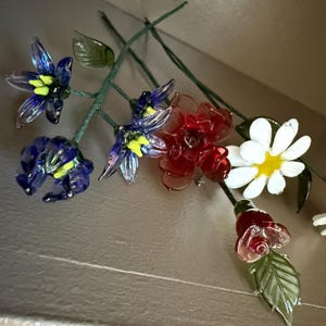 Mehreen さんが購入した商品の写真を追加しました