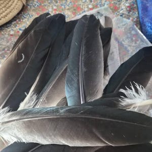 Sorren added a photo of their purchase