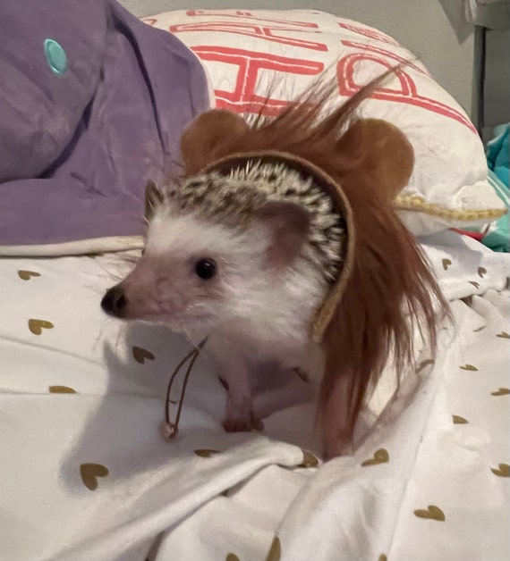 Customer photo of a pet with the Lion dark mane halloween costume for small pet