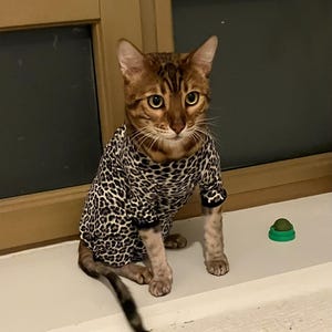 Lynn added a photo of their purchase