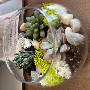 Haley added a photo of their purchase