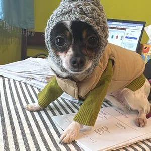 Etsy buyer added a photo of their purchase