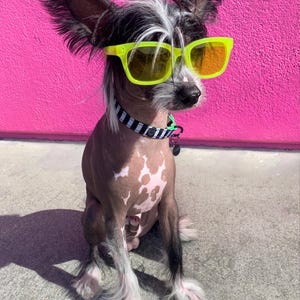 Allie ha añadido una foto de su compra
