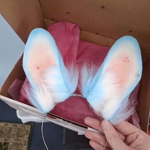 Jake heeft een foto van zijn/haar aankoop toegevoegd