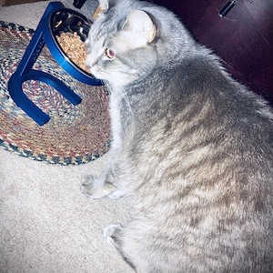 Holly added a photo of their purchase