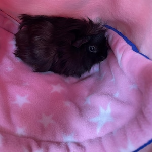 Karen added a photo of their purchase