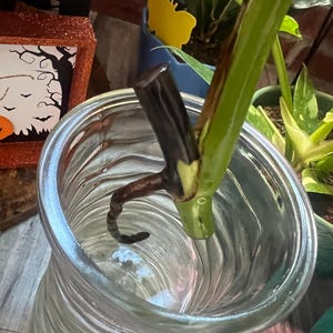 Kupujący z Etsy dodał(a) zdjęcie swoich zakupów