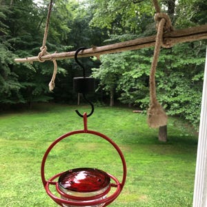 sylvia added a photo of their purchase