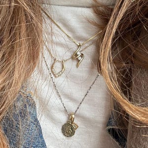 Ilex added a photo of their purchase