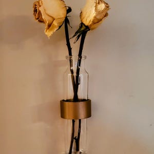 Tiffany Newsome image