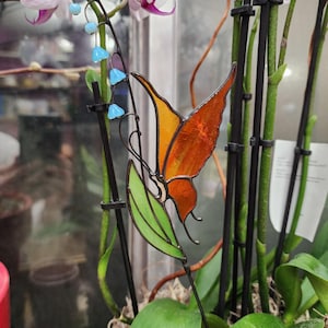 Colette added a photo of their purchase