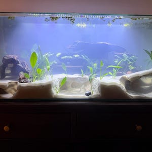 Rommelyn added a photo of their purchase