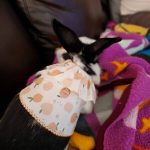 Sara さんが購入した商品の写真を追加しました