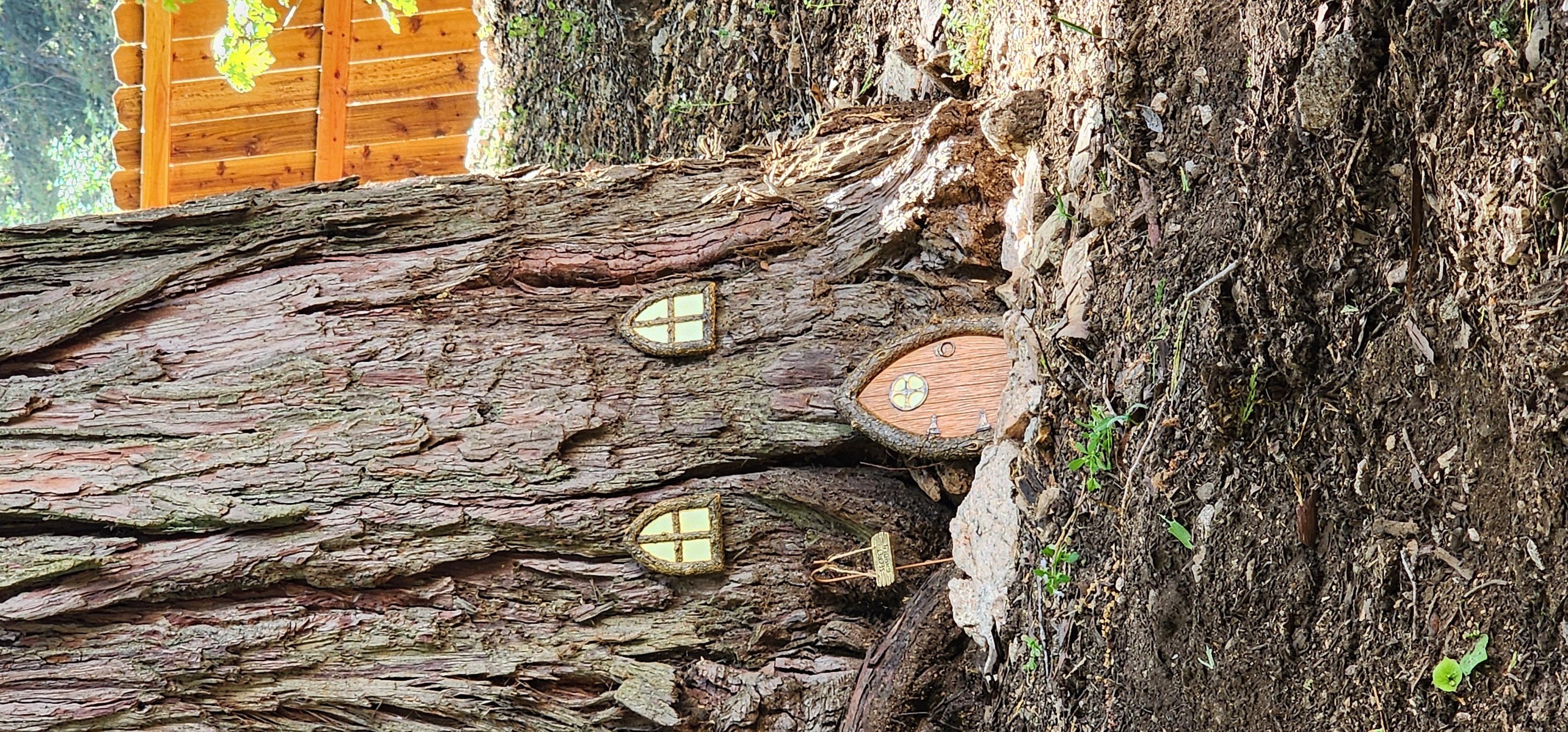 Fairy Door and Windows for Trees Glow in The Dark - Fairy Tree Door- fairy garden- Fairy house - Fairy door for trees- gnome door