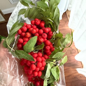 Yevgeniya added a photo of their purchase