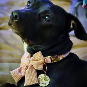 Bee added a photo of their purchase