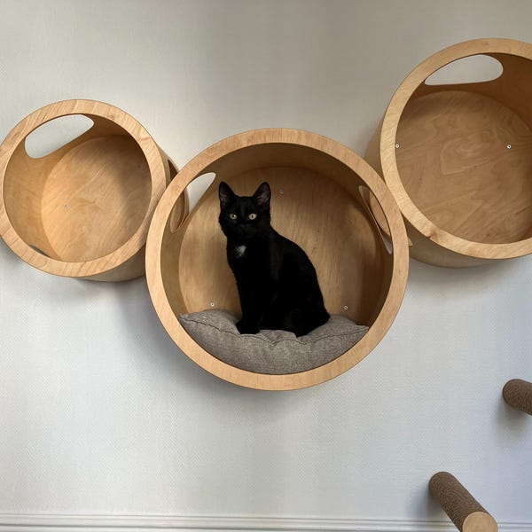 Gotische wandgemonteerde Halloween-kattenplank in kist-stijl met