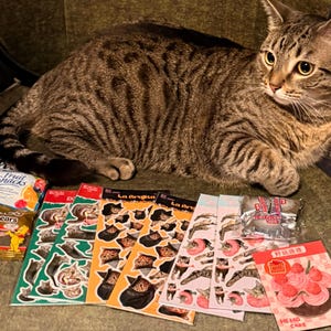 Patricia さんが購入した商品の写真を追加しました