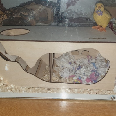 Picture of Hamster Tunnel/ Hamster Cave Hideout/ Chamber Rooms/ Hamster - Etsy