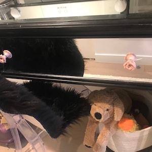 Inactive account added a photo of their purchase
