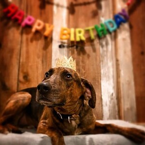 Jennifer ha añadido una foto de su compra