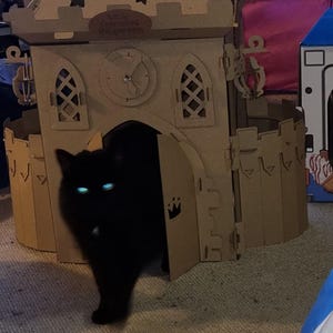 Arwen ha añadido una foto de su compra