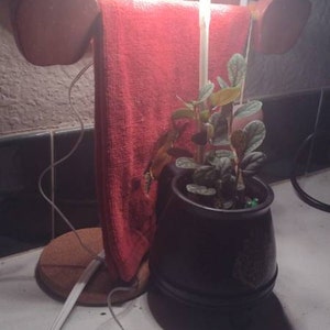 Camm ha añadido una foto de su compra