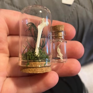 Vixen added a photo of their purchase