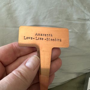 Kimber adicionaram uma foto da sua compra
