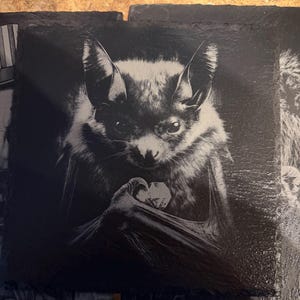 Robert added a photo of their purchase