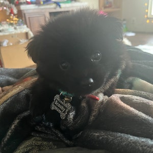 Tracy added a photo of their purchase