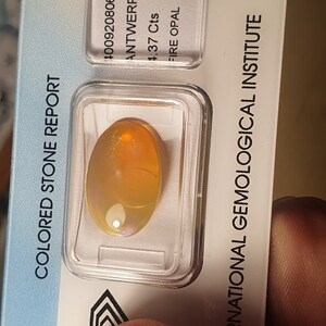 Rouven added a photo of their purchase