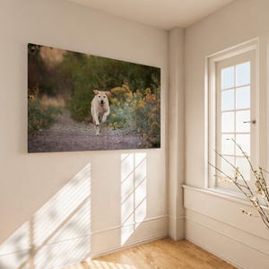 Amanda added a photo of their purchase