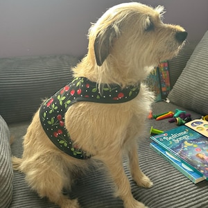 Marsi added a photo of their purchase