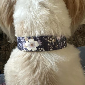 Elena ha añadido una foto de su compra