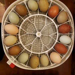 Sarah added a photo of their purchase