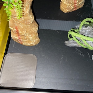 Starr added a photo of their purchase