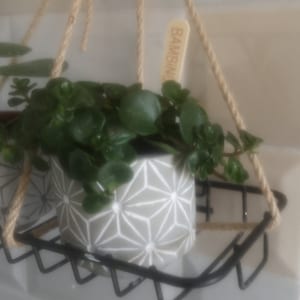 Amanda ha añadido una foto de su compra