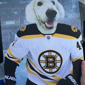 Boston Bruins Hockey Jersey Pet Portraitcustom Hockey Dog 