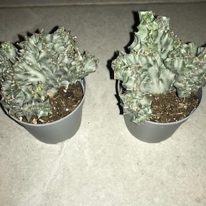 Stephan added a photo of their purchase